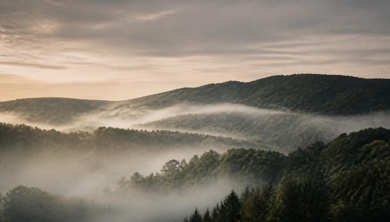 Mist settling over wooded Virginia hills at dawn